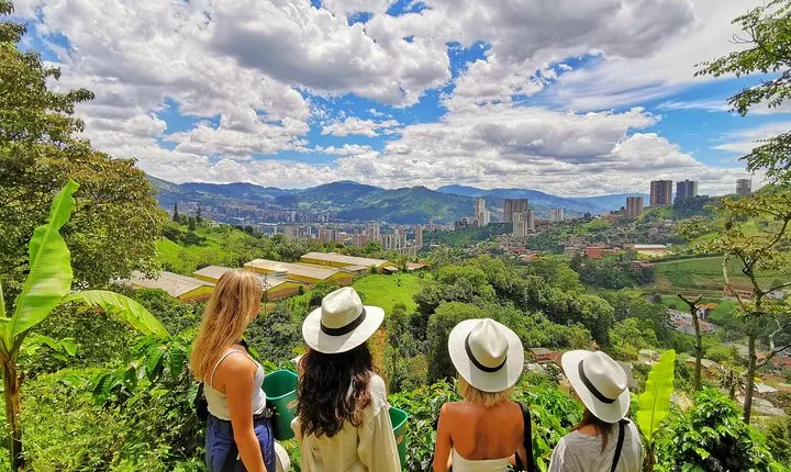 Private Coffee Farm Tour in Medellin: Real Authentic Experience