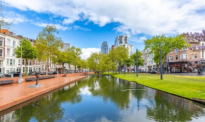 Explore Rotterdam in 90 minutes with a Local
