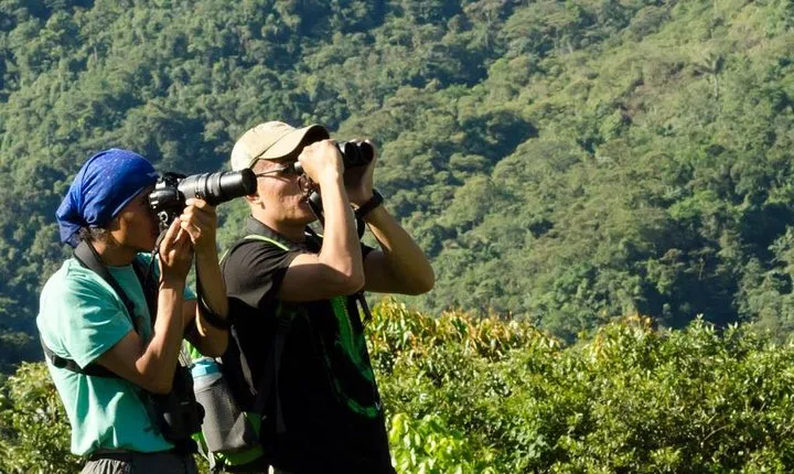 Wildlife Encounter Mindo Tour from Quito