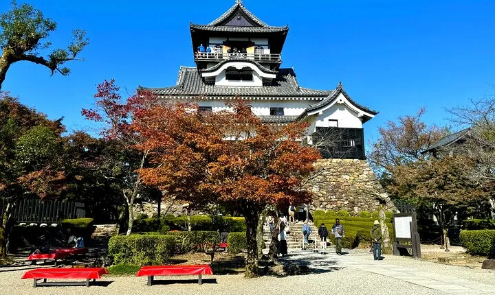Nagoya: National Treasure Inuyama Castle & Tea Room Private Tour