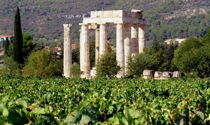 Ancient Nemea Private Full-Day Tour from Athens with Wine Tasting