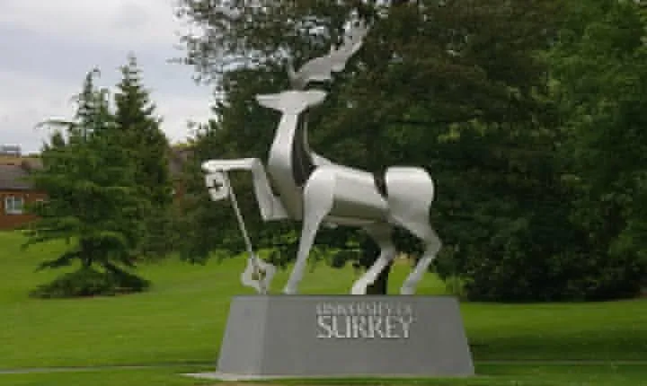 Private One Way or Round Trip Transfer: Heathrow Airport to Guildford