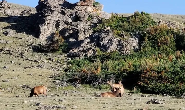 Private Three Hour Afternoon Custom Tour of Rocky Mountain National Park