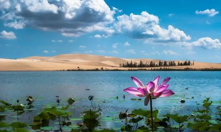 From Ho Chi Minh To Mui Ne Best Day Trip | Sunset Tour