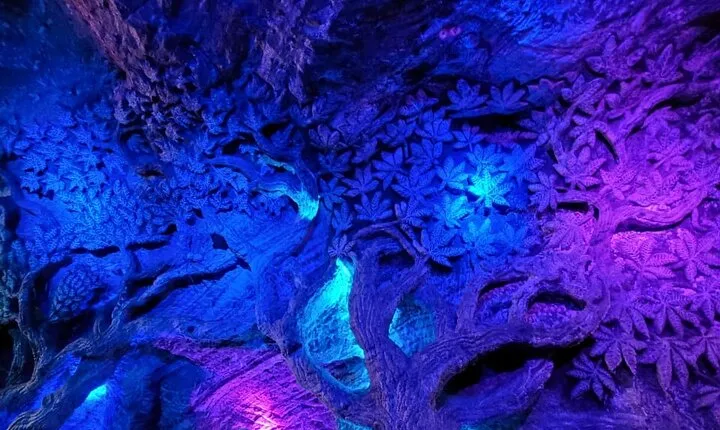 salt Cathedral