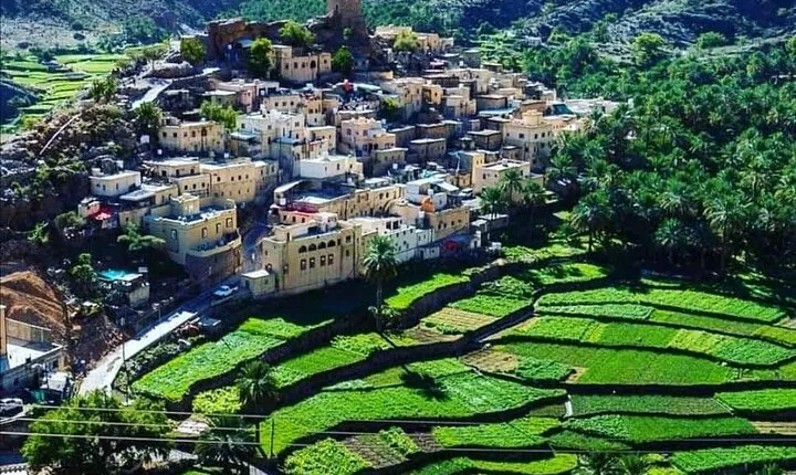 Full Day Wadi Bani Awf-Bilad Sayt Private Tour