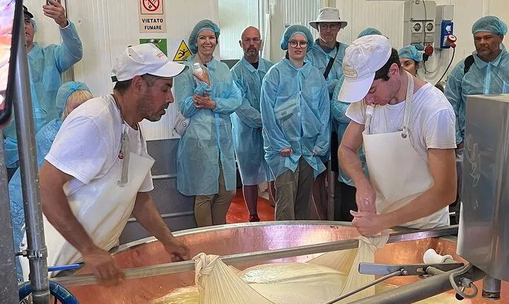 Parmesan Cheese and Balsamic Vinegar Tour with Ferrari Museum