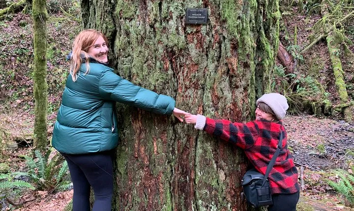 Forest Park Urban Hiking Tour, Portland 