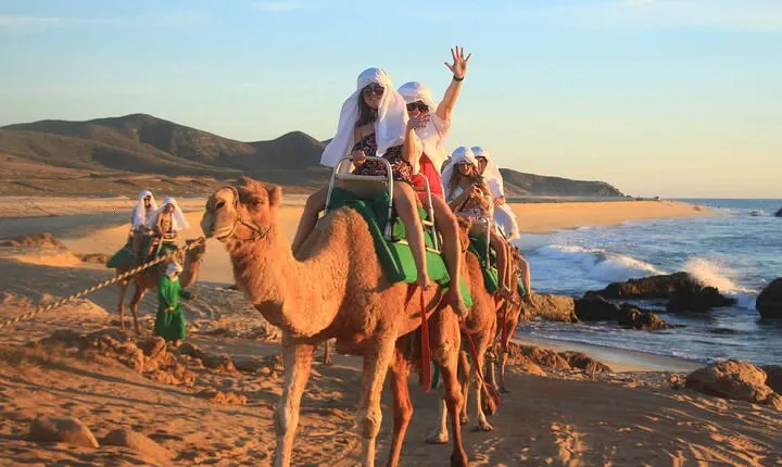 2x1 Tour: Cabo San Lucas Arch + Camels Ride + Pick up!
