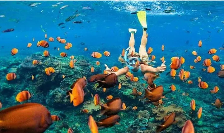 Nusa Penida Trip with Snorkeling all-Inclusive