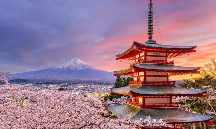 Mt. Fuji Private Tour with English Speaking Driver