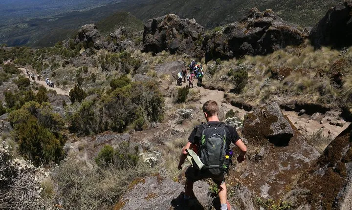 Mount Kilimanjaro Day Hike