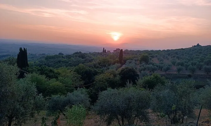 PRIVATE TOUR: oil production, Leonardo's house, tasting