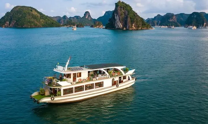 Halong Bay Cruises Luxury 1 Day Tours Included Meals and Pick up & Transfer