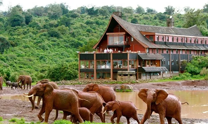 Aberdares National Park Luxury Lodge Safari 2days 1 Night Tour