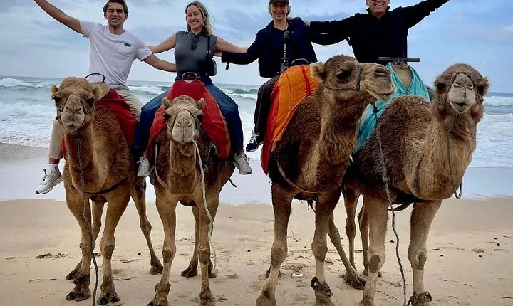 Full-Day Private Guided Tour in Tangier