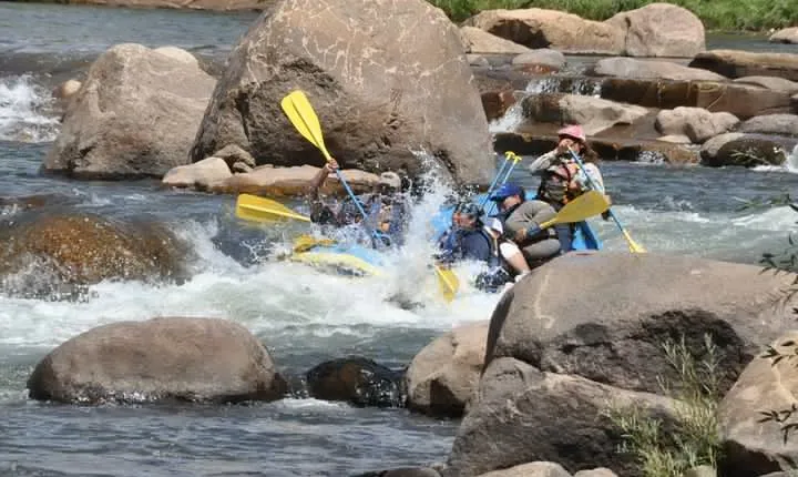 Durango Rafting - Animas River Adventure Day