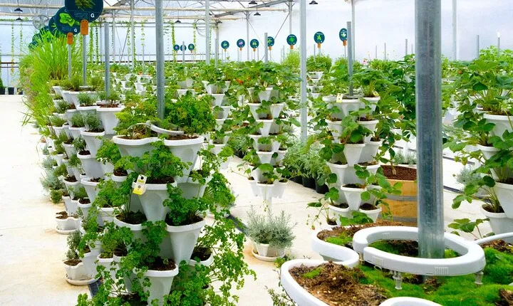2-Hour Farm Experience in Gateway Yarra Valley