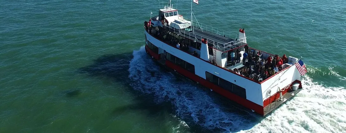 Muir Woods tour with Bay Cruise of Golden Gate Bridge