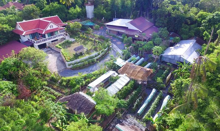 Organic Micro Farm and Thai Cooking Class in Koh Samui