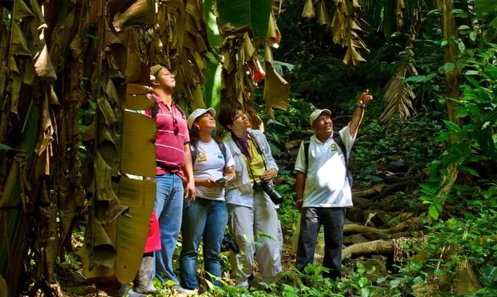 Shared Tour in Mombacho Natural Reserve and Canopy Adventures