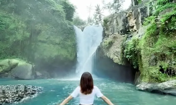 Ubud Day Tour: Sacred Monkey Forest, Tegenungan Waterfall, Rice Terrace