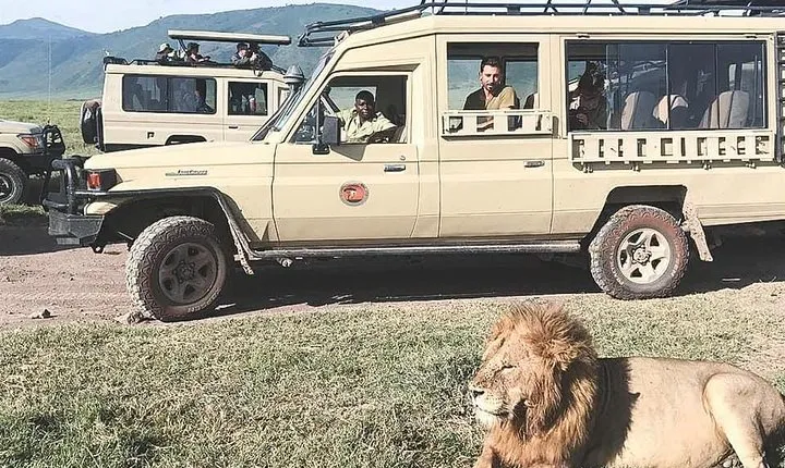 Jambo Jambo 3 Days Safari