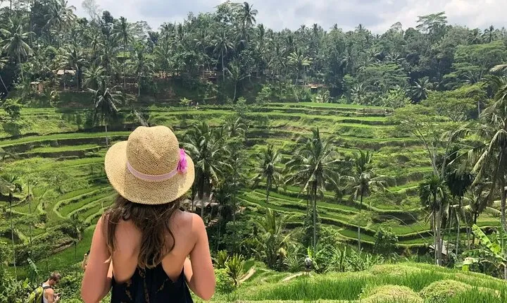 Bali Private Tour - Best of Ubud - All Inclusive