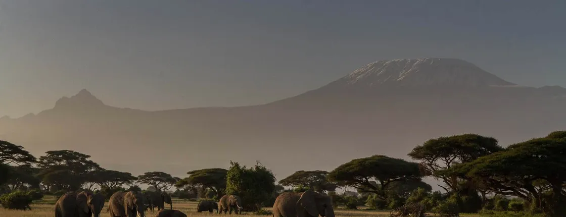 Kilimanjaro & Serengeti Adventure