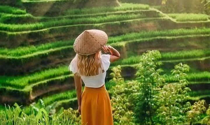 Best of Ubud Trip: Monkey Forest, Waterfall, Rice Terrace Tour