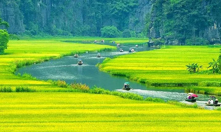 Hanoi - Hoa Lu - Tam Coc - Mua Cave - 1 Day / By Luxury Limousine & Small Group