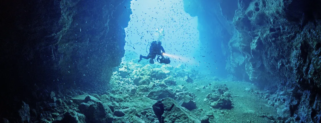 Discover Scuba Diving in Madeira Ticket