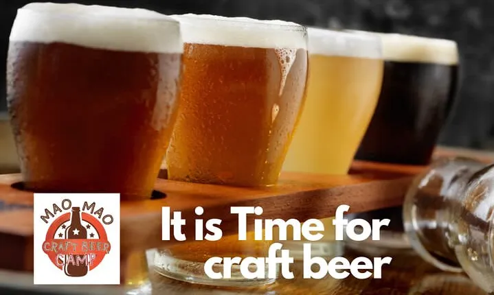 Thai Craft Beer Tasting with out door cinemar in Khao Lak