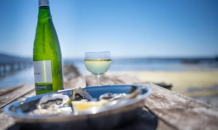 Small-Group Half-Day Languedoc Wine and Oyster Tour from Montpellier