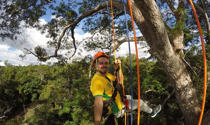 Tree Climbing in the Amazon