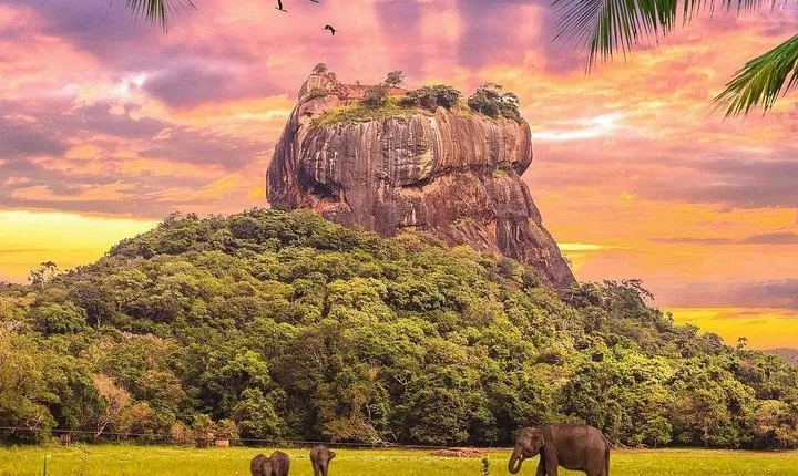 Kandy to Sigiriya Day Tour and Dambulla cave temple with private vehicle