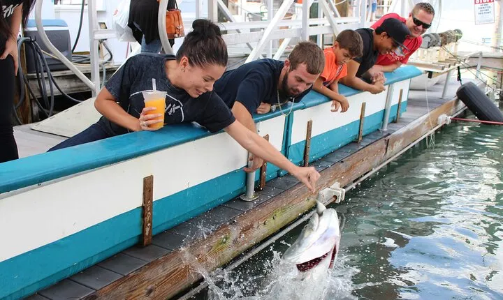 Giant Tarpon Fish Feeding Experience in Bayside Marketplace