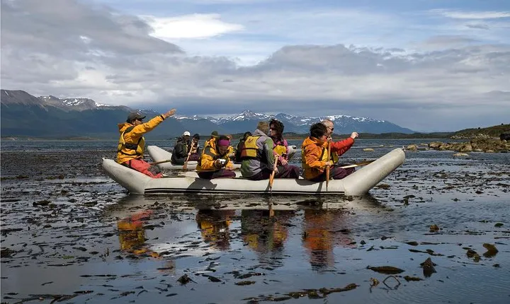 Full-Day Gable Island Eco-Adventure in the Beagle Channel