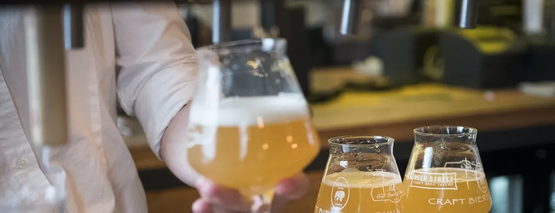 Vienna craft beer tasting