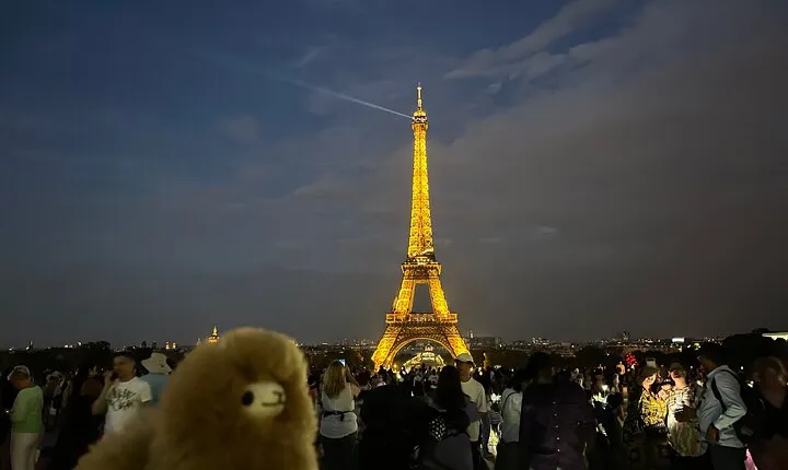 Private Paris City Night Sightseeing Tour - Sparkle Eiffel Tower