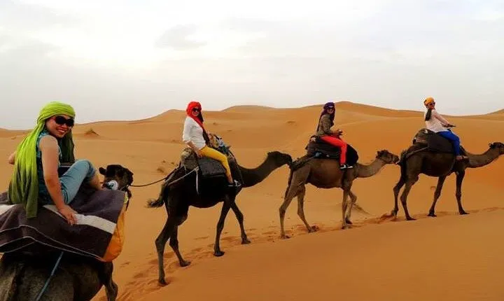 Shared group Fez to Fez Sahara tour 2Days/1Night 