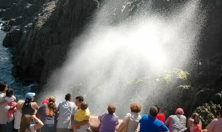 Baja Mexico one day regional tour