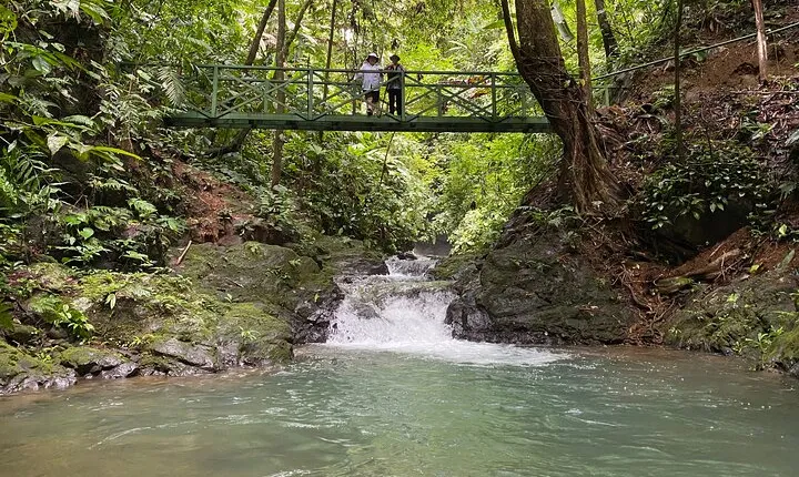 Guided hiking Tour by the Mystic Ebano Rainforest in Costa Rica