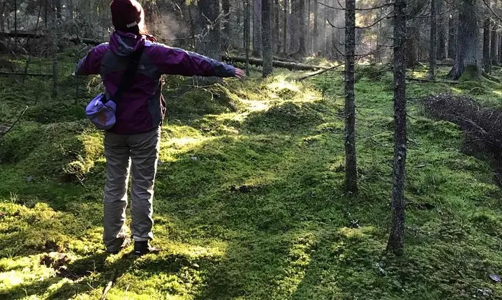 Hiking tour in Nuuksio National Park with meal and snacks