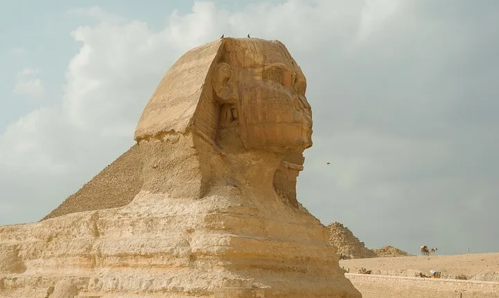 Explore Pyramids, Camels and Authentic Egyptian Food in Giza