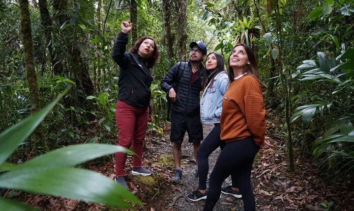 Half-Day Shared Tour to The Quetzal Birdwatching from Coban