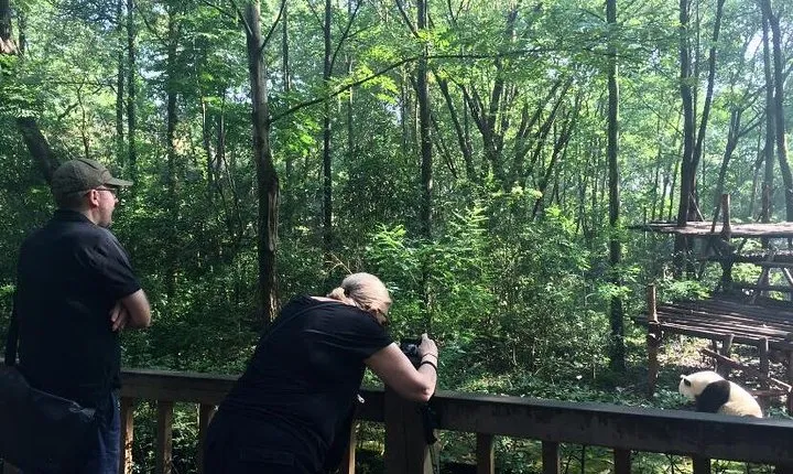 Private Day Tour: Visit Giant Pandas and Discover Shu Culture in Chengdu