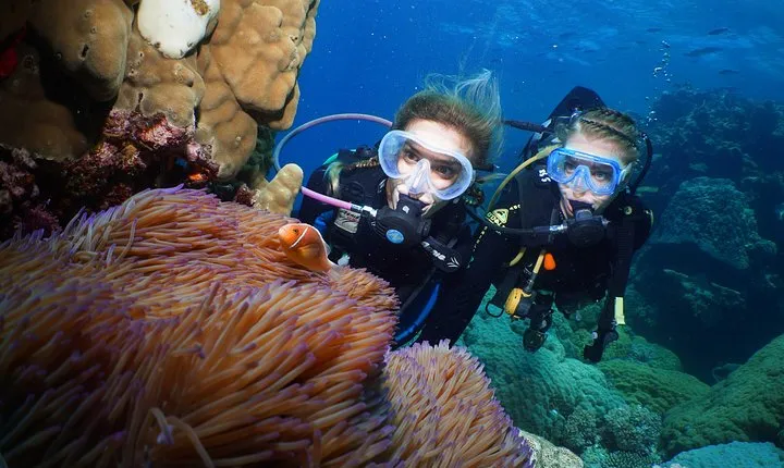 Quicksilver Dive 4 Day PADI Learn to Dive Course