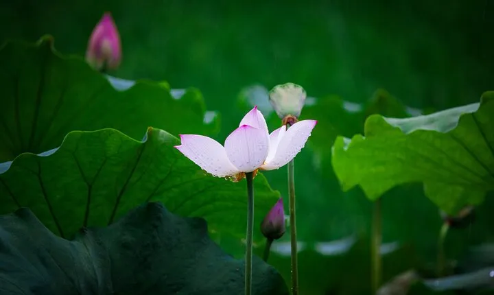 Amazing Landmarks Hangzhou Private Day Tour