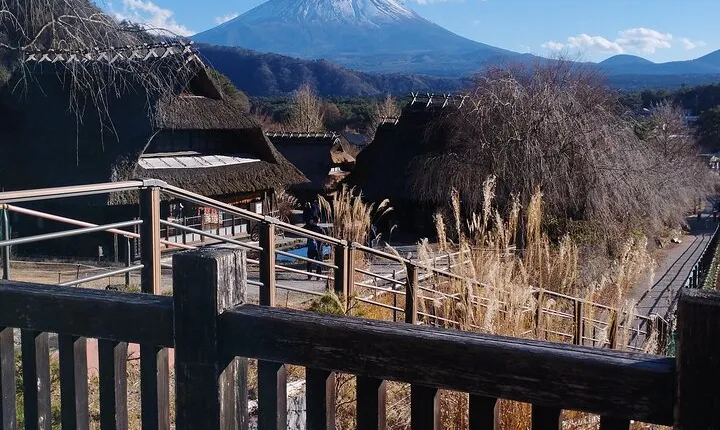 Customisable Mt.Fuji Private Day Trip, English Speaking Driver